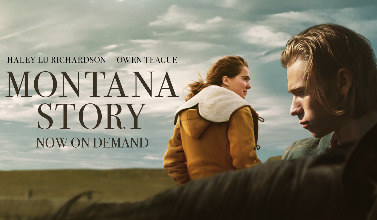 Montana Story movie poster