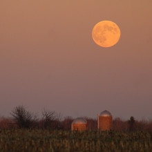 Julie Timm Full Beaver Moon